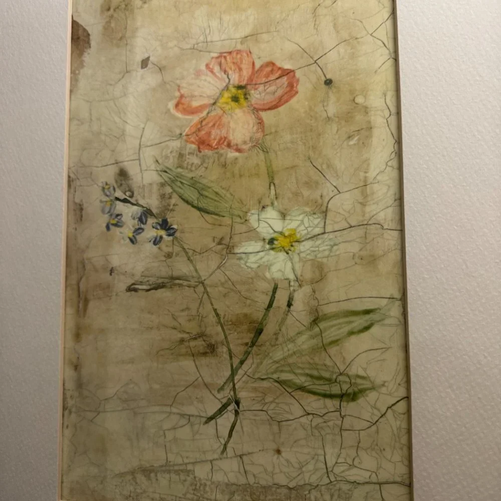 Framed Picture Botanical Art Flowers
